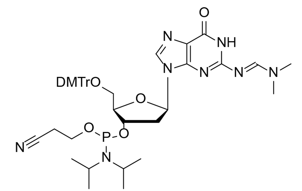 DMT-dG(dmf)-CE-
Phosphoramidite