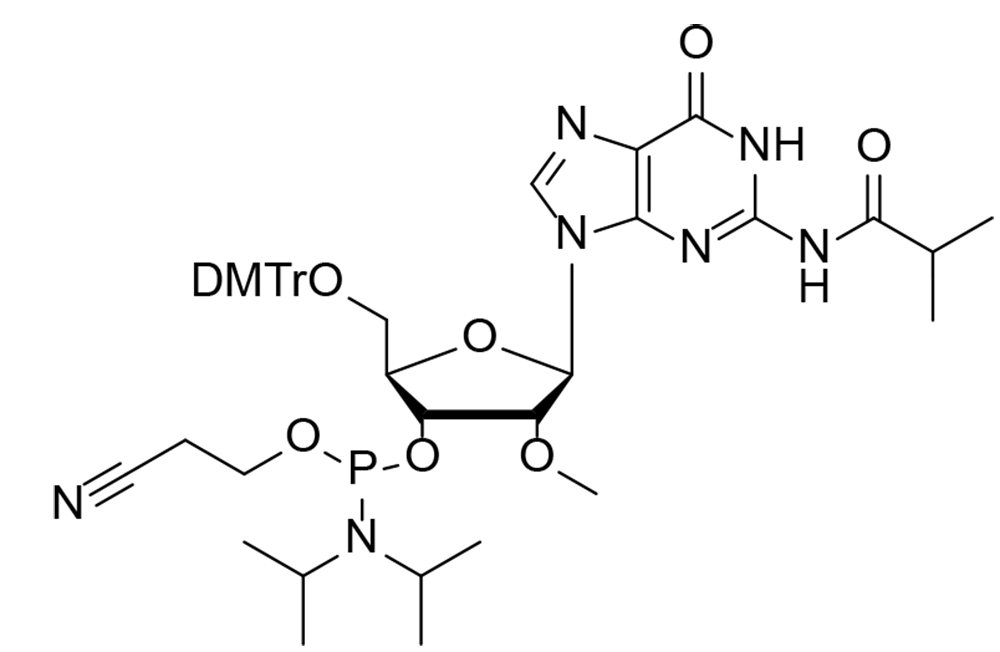 2'-OMe-ibu-G Phosphoramidite