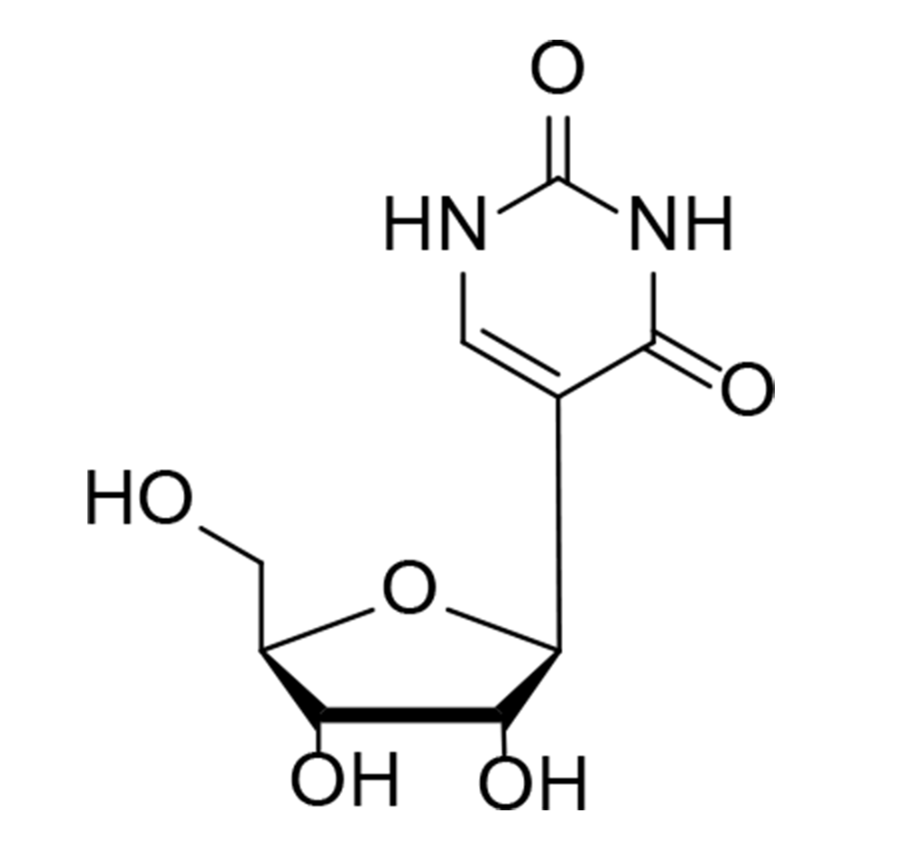 pseudouridine