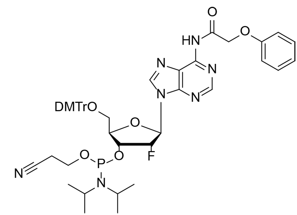 2'-F-dA(PAc)-CE Phosphoramidite
