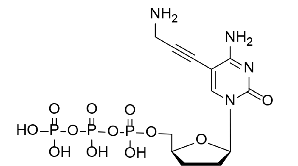 5-Propargylamino-ddCTP