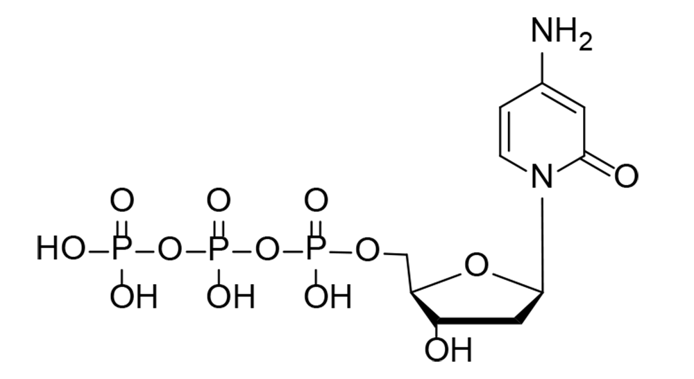 4-amino-1-(2'-desoxy-β-D-ribofuranosyl)-2(1H)-pyridinon-5'-O-triphosphat