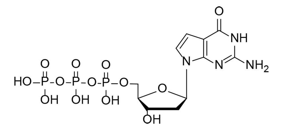 7-Deaza-2′-deoxyguanosine 5′-triphosphate