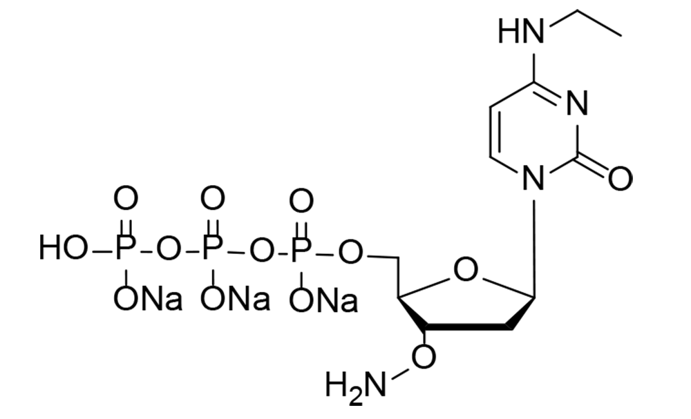 N4-ethyl-3'-ONH2-dCTP